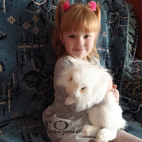 РІК КРОЛИКА ОБОВ’ЯЗКОВО ПРИНЕСЕ НАМ ПЕРЕМОГУ НАД ВОРОГОМ 