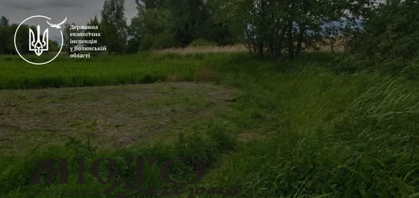 У Володимирському районі виявили розорювання земель прибережної смуги ставка - новини Володимир-Водинського У Володимирському районі виявили розорювання земель прибережної смуги ставка