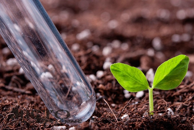 Володимир-Волинський виконком погодив правила застосування органічних добрив на території громади 