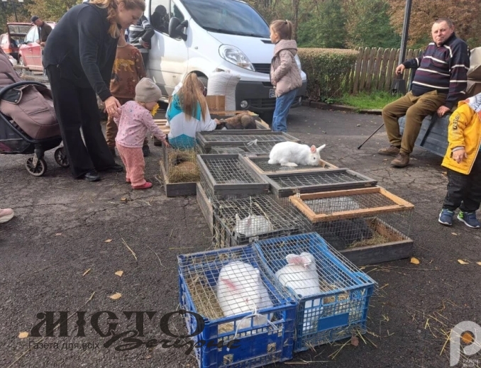 У Володимирі відбувся осінній ярмарок 