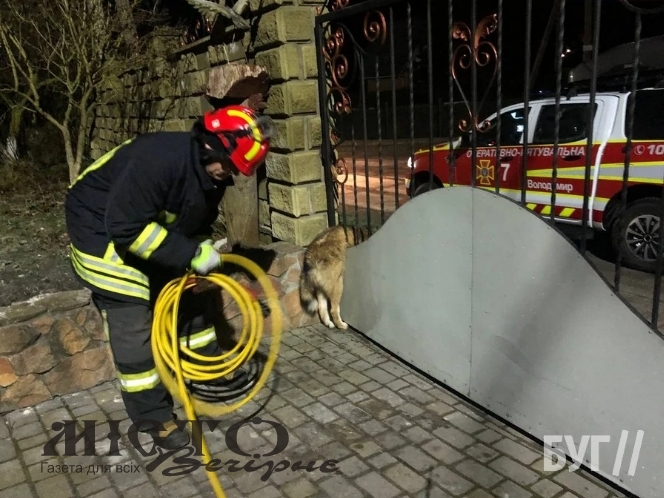 У Володимирі врятували собаку, що застряг в отворі воріт 