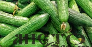 В Україні різко подорожчали тепличні огірки 