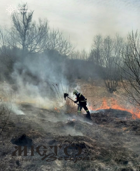 У Володимирському районі за добу вигоріли гектари сухостою, вогонь гасили у семи населених пунктах 