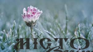 Вночі у Львові зафіксували аномалію 