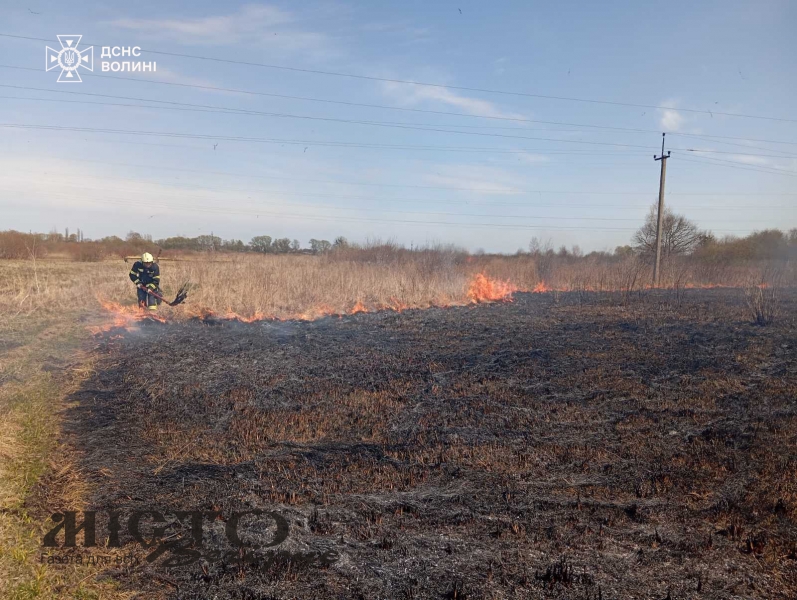 Через підпали на Волині за добу вигоріло понад 12 гектарів сухостою 
