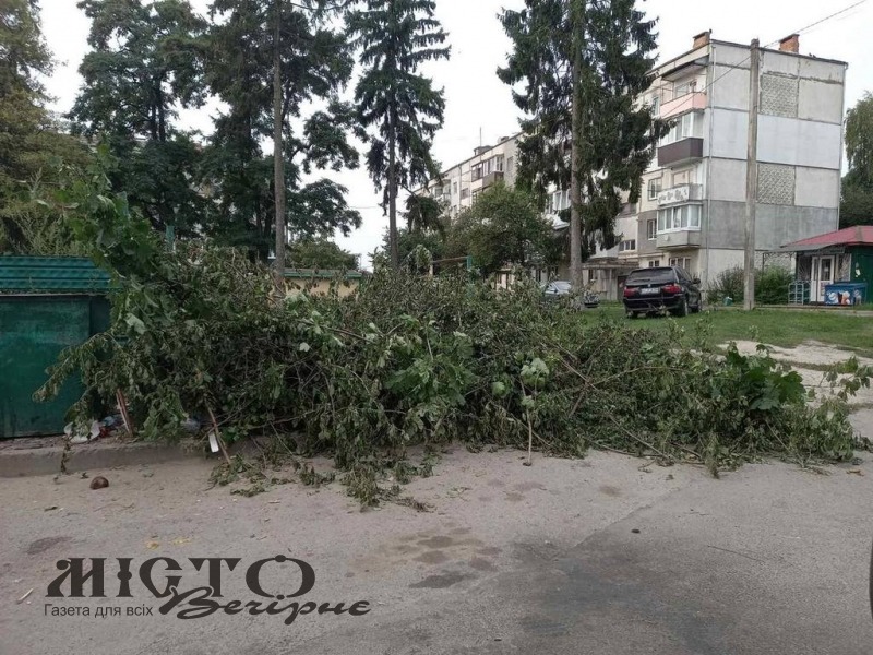 На мешканку Володимира, яка організувала самовільну вирубку дерев, склали адмінпротокол 