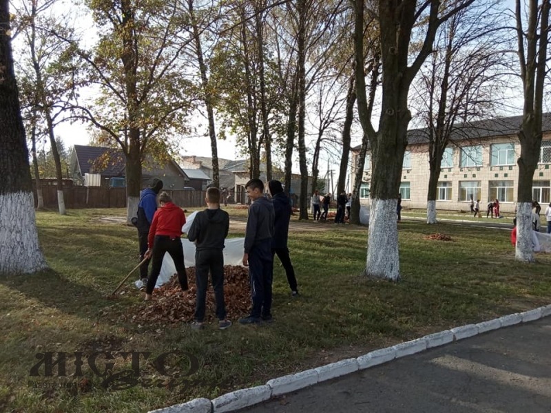 Суд скасував договір про ремонт школи в Суходолах 