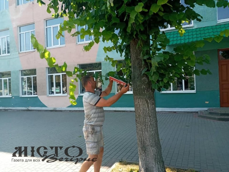 У Володимирі демонтували елементи реклами, яку встановили в неналежних місцях 