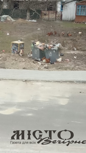 Устилузька громада потопає у смітті, яке не вивозять уже кілька тижнів 