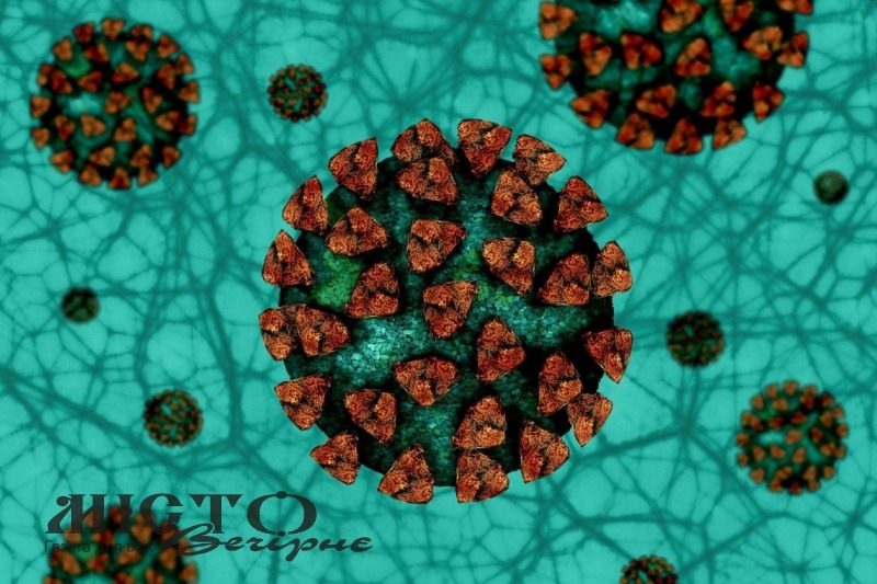 В Польщі виявлено два осередки індійського штаму коронавірусу 