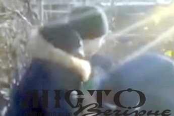 На Любомильщині підліток жорстоко побив ровесника 