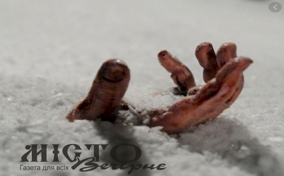 На Волині знайшли в полі труп 