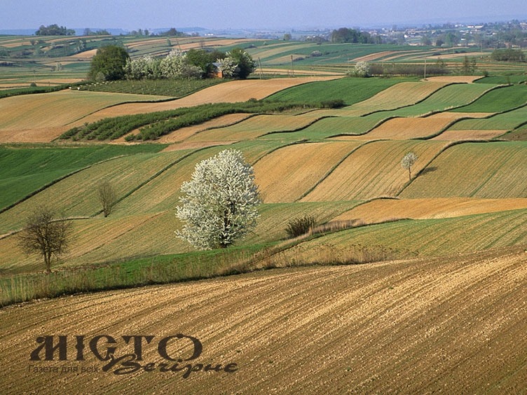 В Оваднівській громаді у фермерського господарства заберуть 50 гектарів землі 
