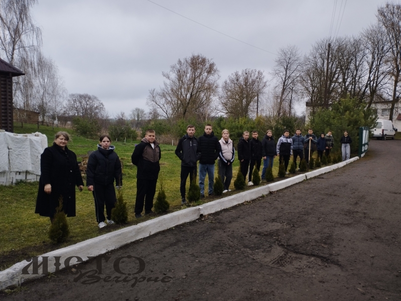 Озеленення території: у Привітненському ліцеї садили туї 