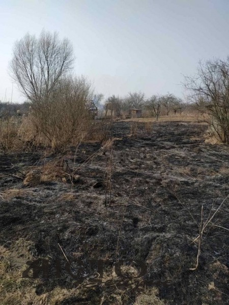 У Володимир-Волинському районі паліїв трави оштрафували на понад 3 тисячі гривень 