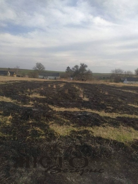У Володимир-Волинському районі притягнули до відповідальності трьох паліїв сухотрав’я 