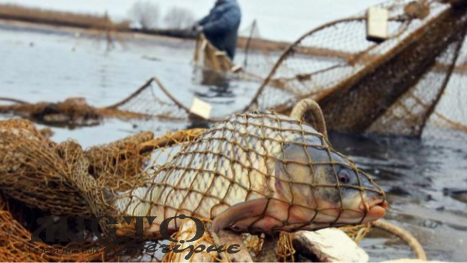 Медсестра з Луцька незаконно ловила рибу на Іваничівській громаді 