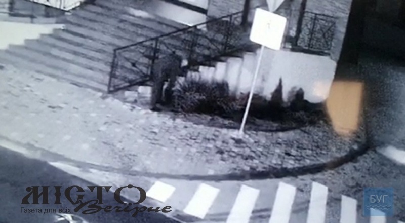 У Володимирі знову вкрали тую, зловмисника зафіксували відеокамери 