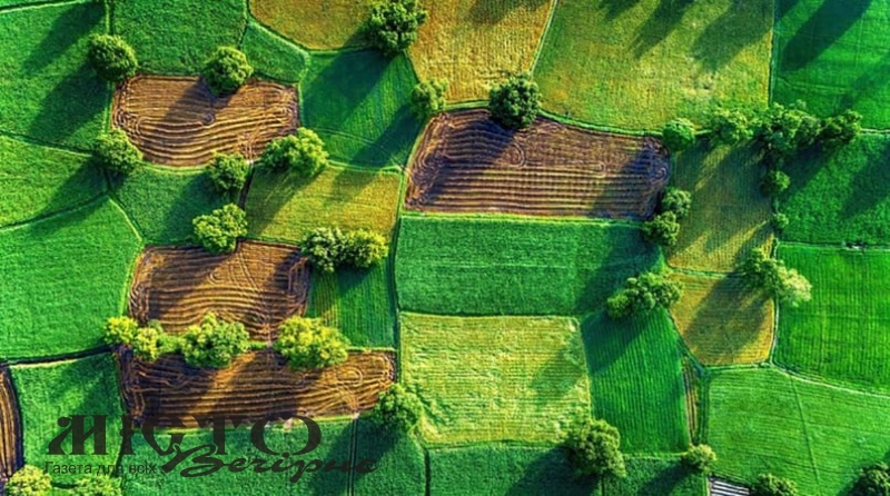  У Нововолинській громаді виставили на аукціон земельні ділянки під житлову та комерційну забудову 