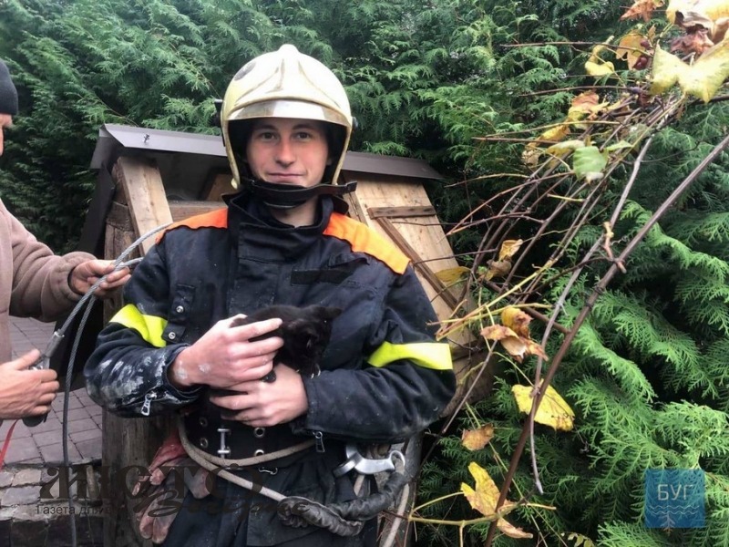 У Володимирі рятувальники з колодязя дістали кошеня 