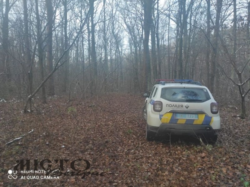 У Володимир-Волинському районі спіймали чоловіка, який займався незаконною вирубкою лісу 