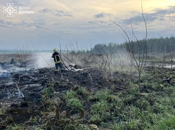 У селі поблизу Нововолинська горіла суха трава та чагарники 