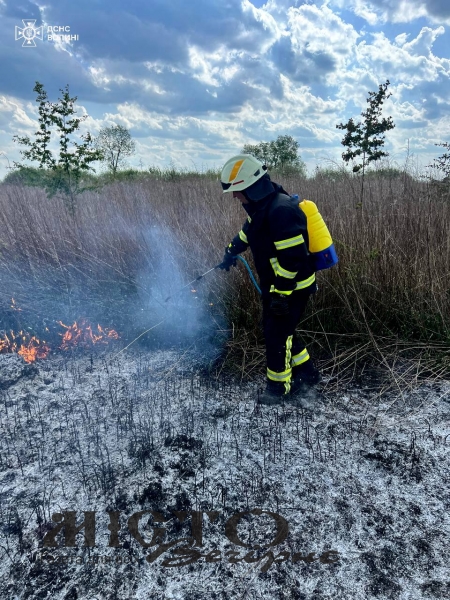 Волинські рятувальники ліквідували пʼять пожеж на понад двох гектарах території 