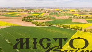 На Володимирщині суд оштрафував місцевого жителя за самовільне використання землі громади 