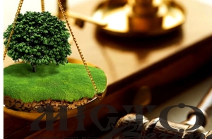 У Володимирі пенсіонера оштрафували за самовільне засівання землі громади 