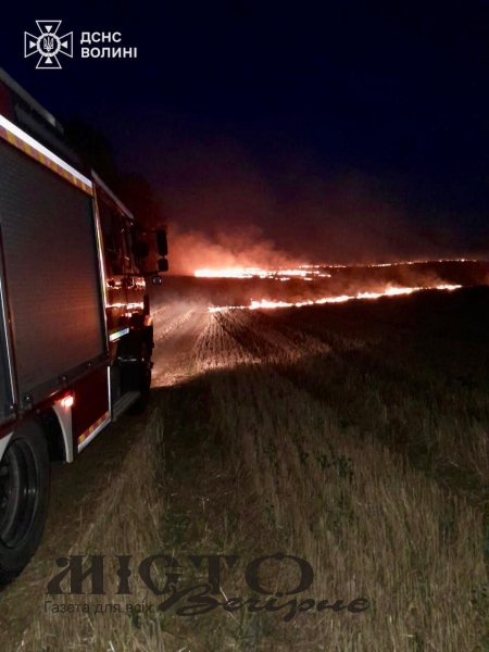 На Волині за добу ліквідували сім пожеж сухої трави та чагарників 
