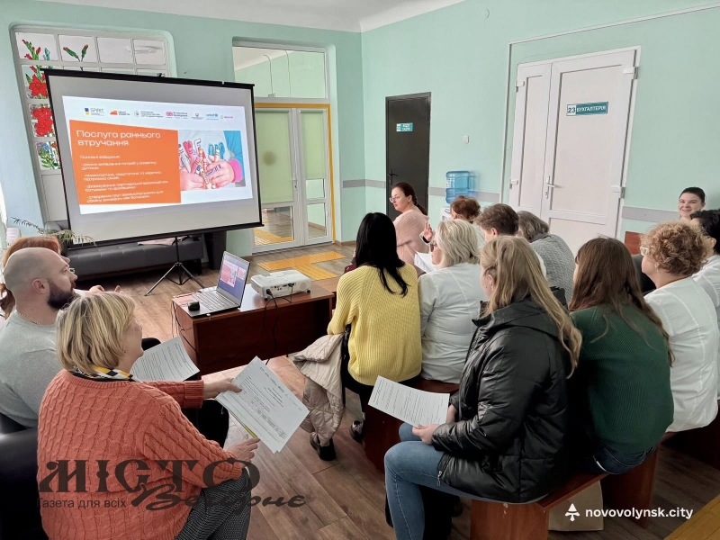 У Нововолинську лікарям розповіли про нові соціальні послуги для дітей та родин 