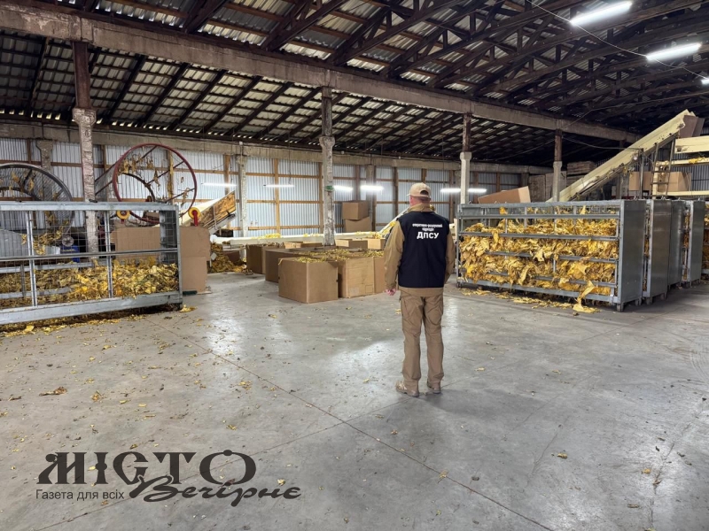  У Поромівській громаді викрили фермерів, які незаконно вирощували і переробляли тютюн 