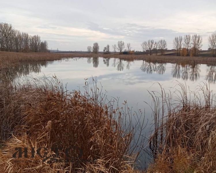 Павлівська громада на сім років віддає в оренду ставок 