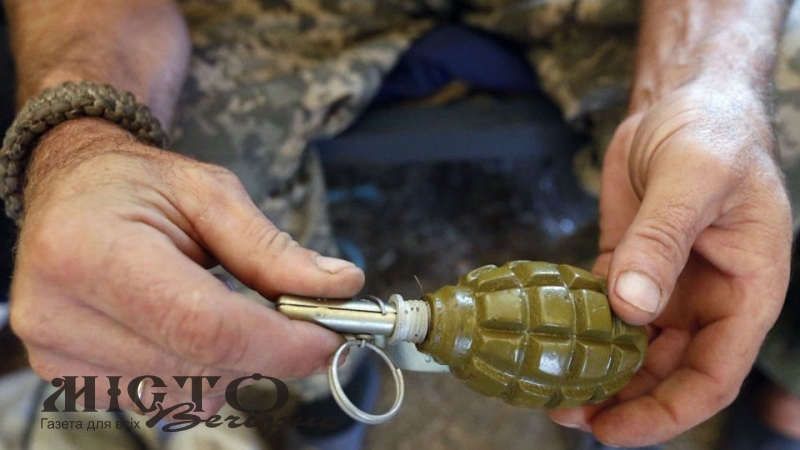 У Локачах суд виніс вирок військовослужбовцю за зберігання гранати та використання підроблених прав водія 