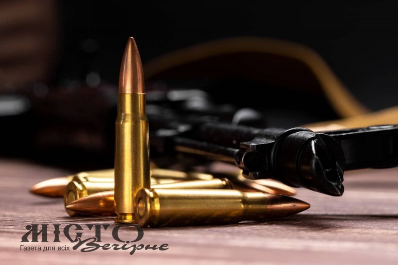 За незаконне зберігання патронів та побиття односельця: Локачинський суд виніс вирок військовослужбовцю 