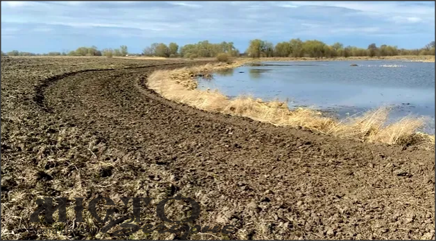 Житель Павлівської громади виорав та засіяв берег річки – отримав 17 тисяч гривень штрафу 