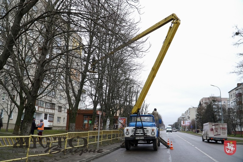 У Володимирі почали кронувати дерева 