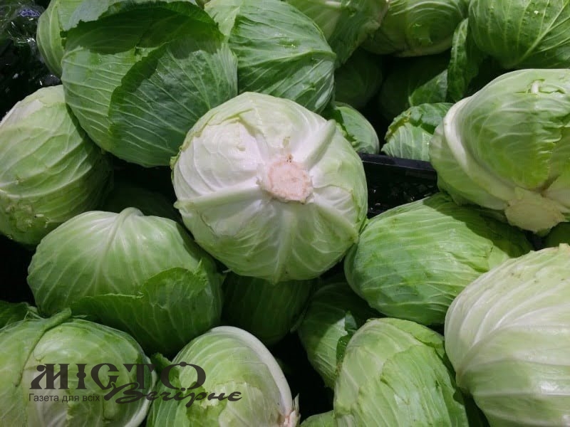В Україні стрімко падають ціни на капусту 