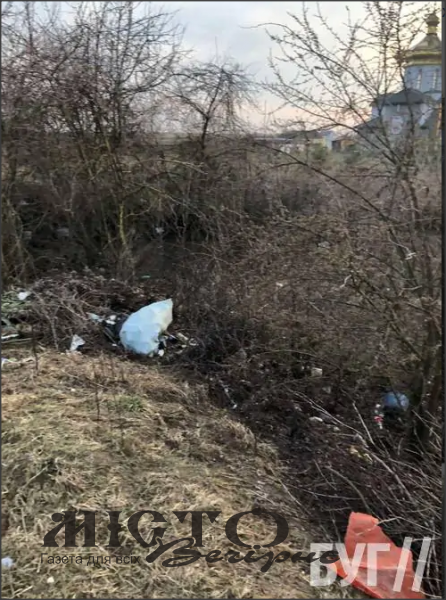 Сухі зарослі і гори сміття в центрі Іванич називають санкціонованим смітником 