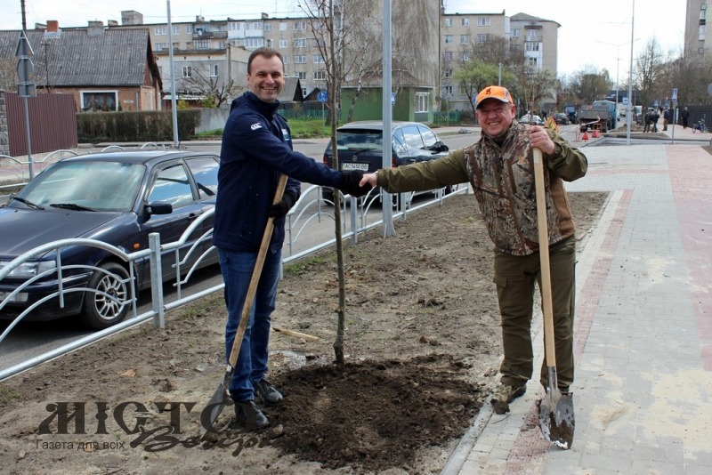 У Володимирі в рамках загальноміської толоки висадили більше 50-ти дерев 
