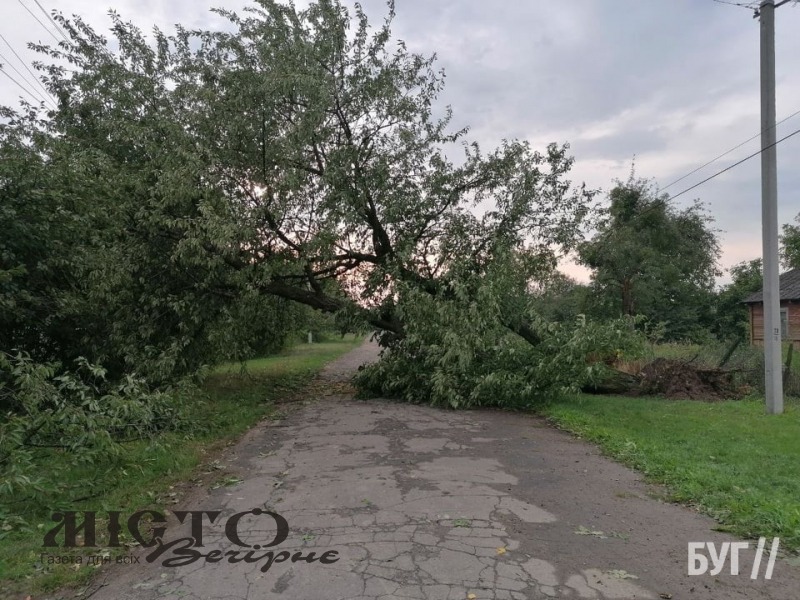 У Зимнівській громаді пройшов буревій 