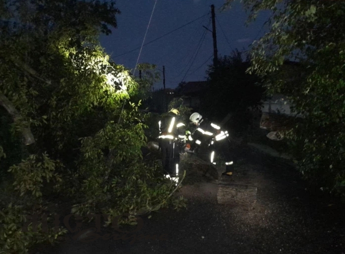 У Локачах рятувальники прибрали повалені дерева з проїжджої частини 