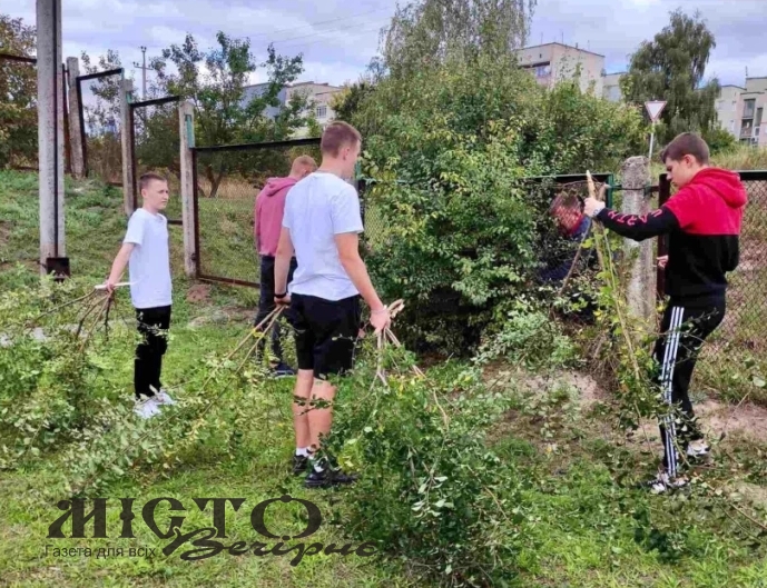 Заклади освіти Нововолинської громади взяли участь у Всесвітньому дні прибирання 