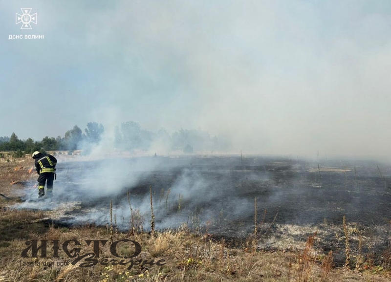 Горіла суха трава, чагарники, торф: рятувальники Волині ліквідували сім пожеж на відкритих територіях 