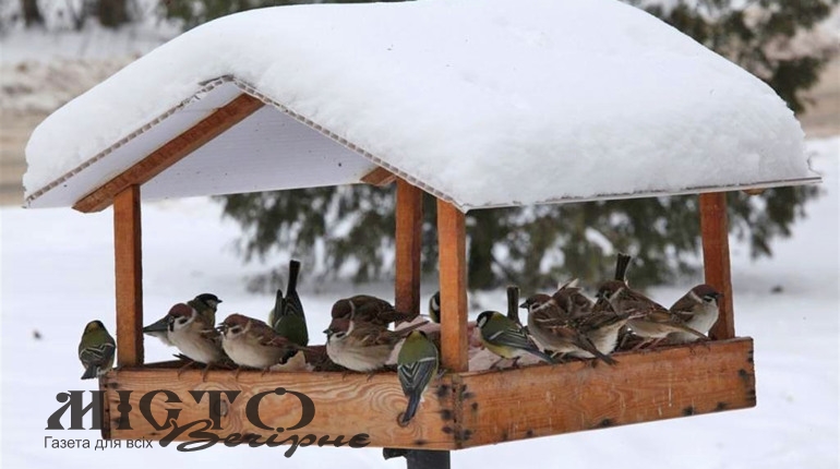 Вихованці Локачинського БДЮТ стали учасниками всеукраїнського конкурсу «Годівничка для зимуючих птахів» 