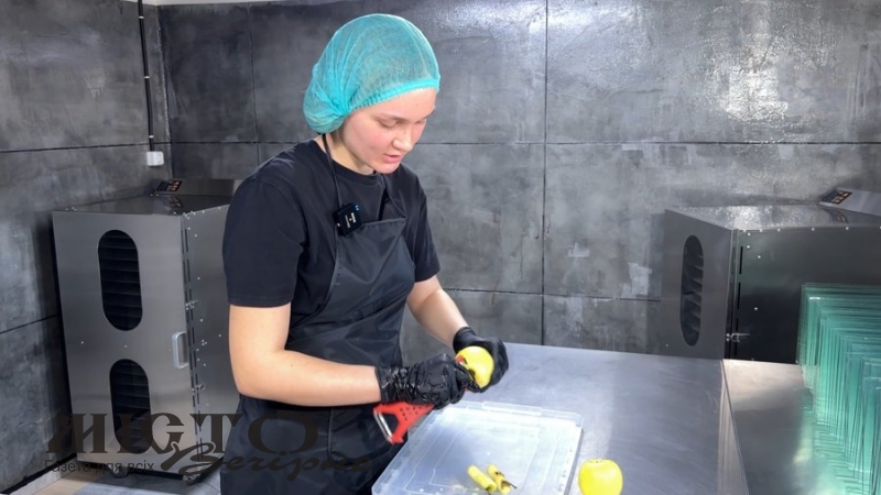 У Локачинській громаді подружжя виграло грант від держави і виготовляють фріпси та пастилу 