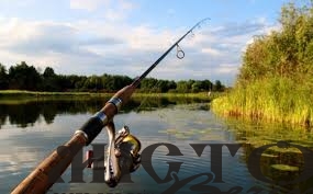 На Закарпатті 15-річна дівчина загинула від удару струмом під час риболовлі 