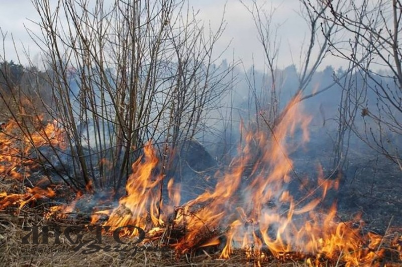 У квітні 32 жителя Володимир-Волинського району порушили екологічне законодавство 