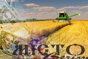 Україна залишається в п’ятірці найбільших експортерів сільськогосподарської продукції до ЄС 