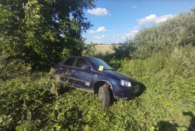 У Поромівській громаді п‘яний водій спричинив аварію 